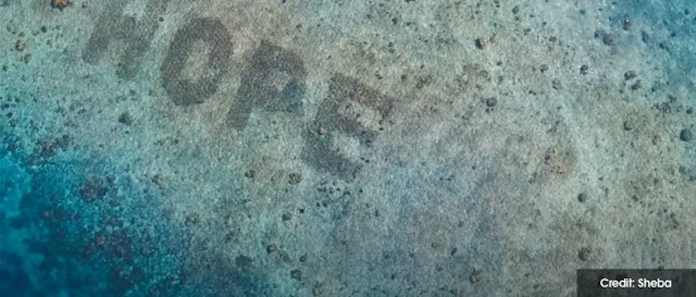 ์ฌ๋ ์ํฌํ๋ก์ฐ๋ฅผ ํ์ฉํด ITํ์ด ํจ์จ์ ๊ทน๋ํ ํ๋ ๋ฐฉ๋ฒ