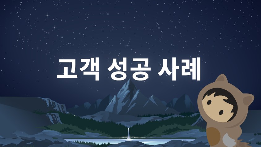 세일즈포스 사례