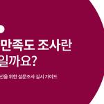 Thumbnail of What Is a Customer Satisfaction Survey