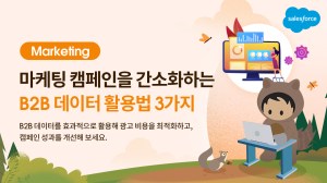 Thumbnail of 3 Ways to Use B2B Data to Simplify Your Marketing Campaigns