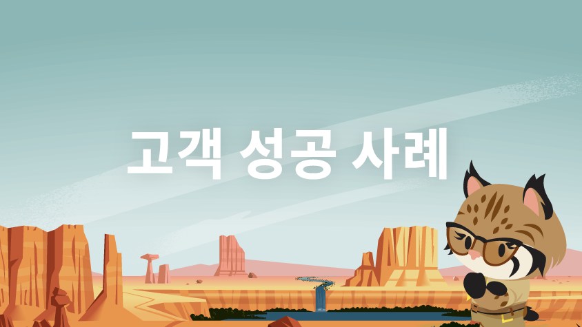 세일즈포스 사례