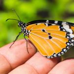 Las empresas y el compromiso con el cuidado del medioambiente