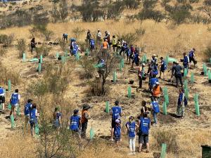 Salesforce impulsa  jornada de plantación de árboles en Cerro Renca y realiza una donación a Cultiva para iniciativas medioambientales