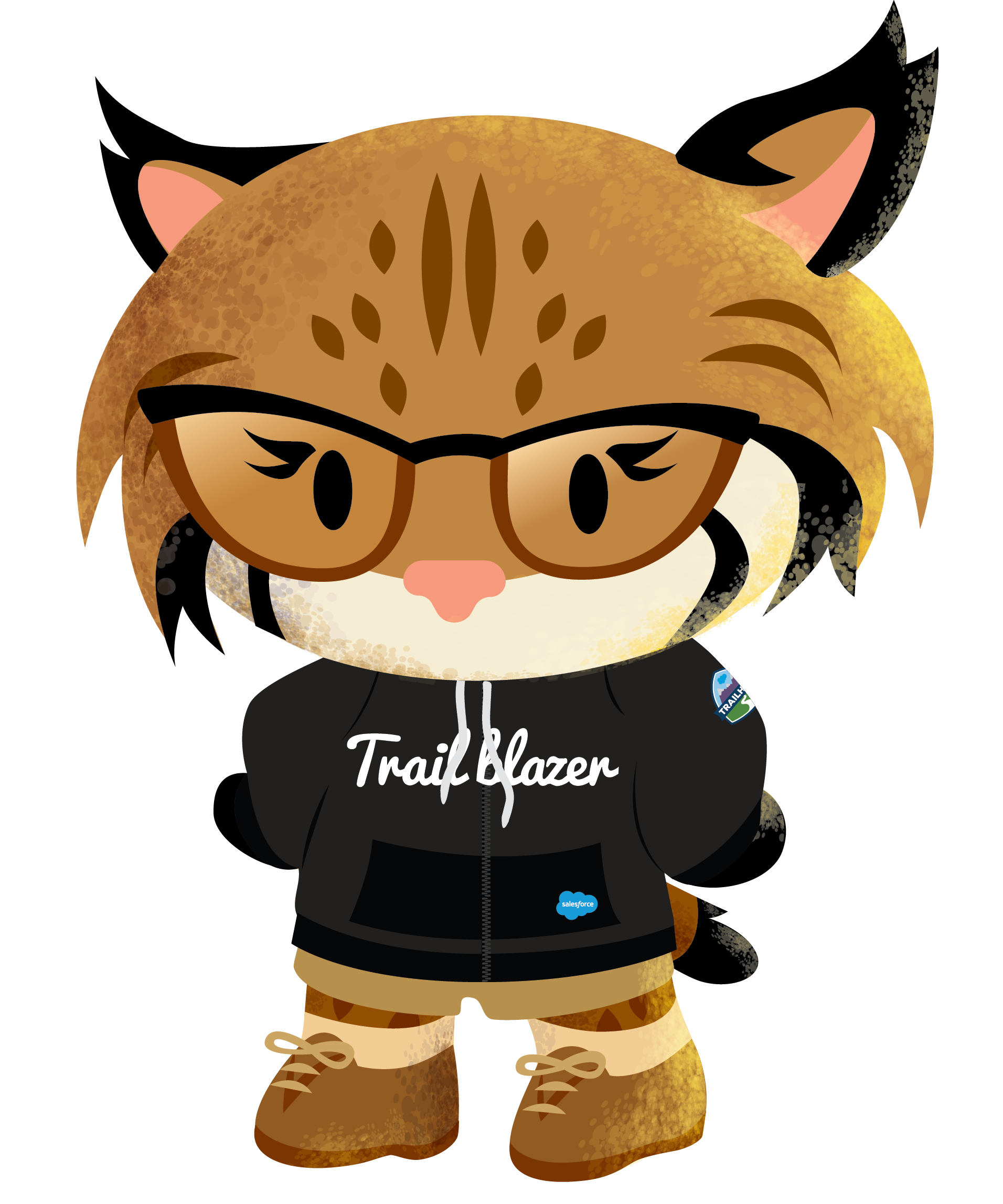 Salesforce Characters - Salesforce News