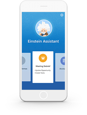 This is a screenshot of the Einstein voice feature