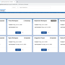 This is a screenshot of the Customer 360 Platform Code Builder Workspace Manager