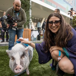 Dreamforce 2018 Therapy Pig