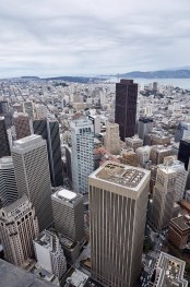 This is an image of the Salesforce Tower in San Francisco