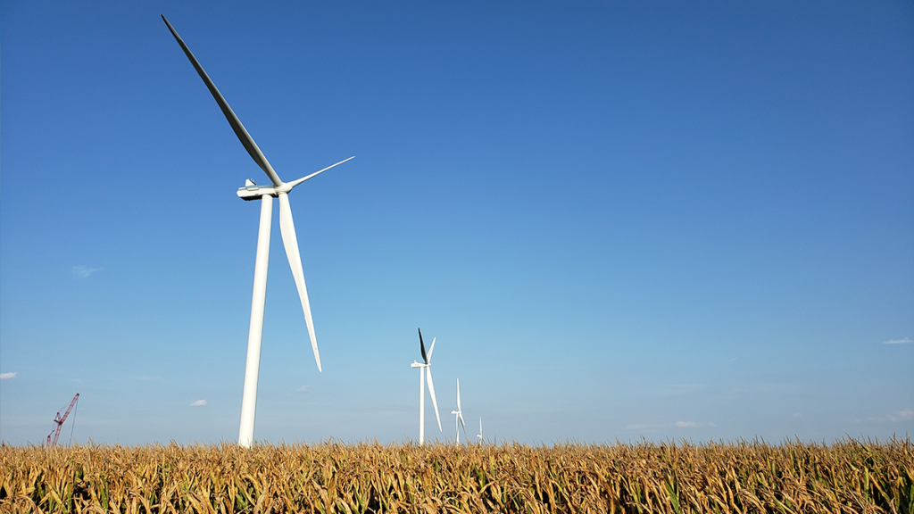 windmills in a grass field