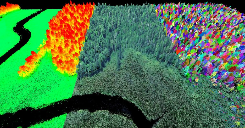 Forest LiDAR+AI analysis: carbon concentration and tree count by Pachama