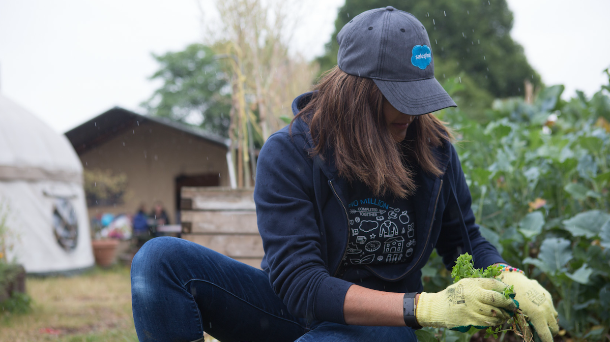 Volunteer planting in a garden
