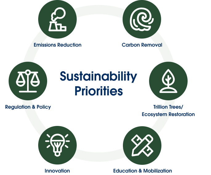 6 icons of sustainability priorities