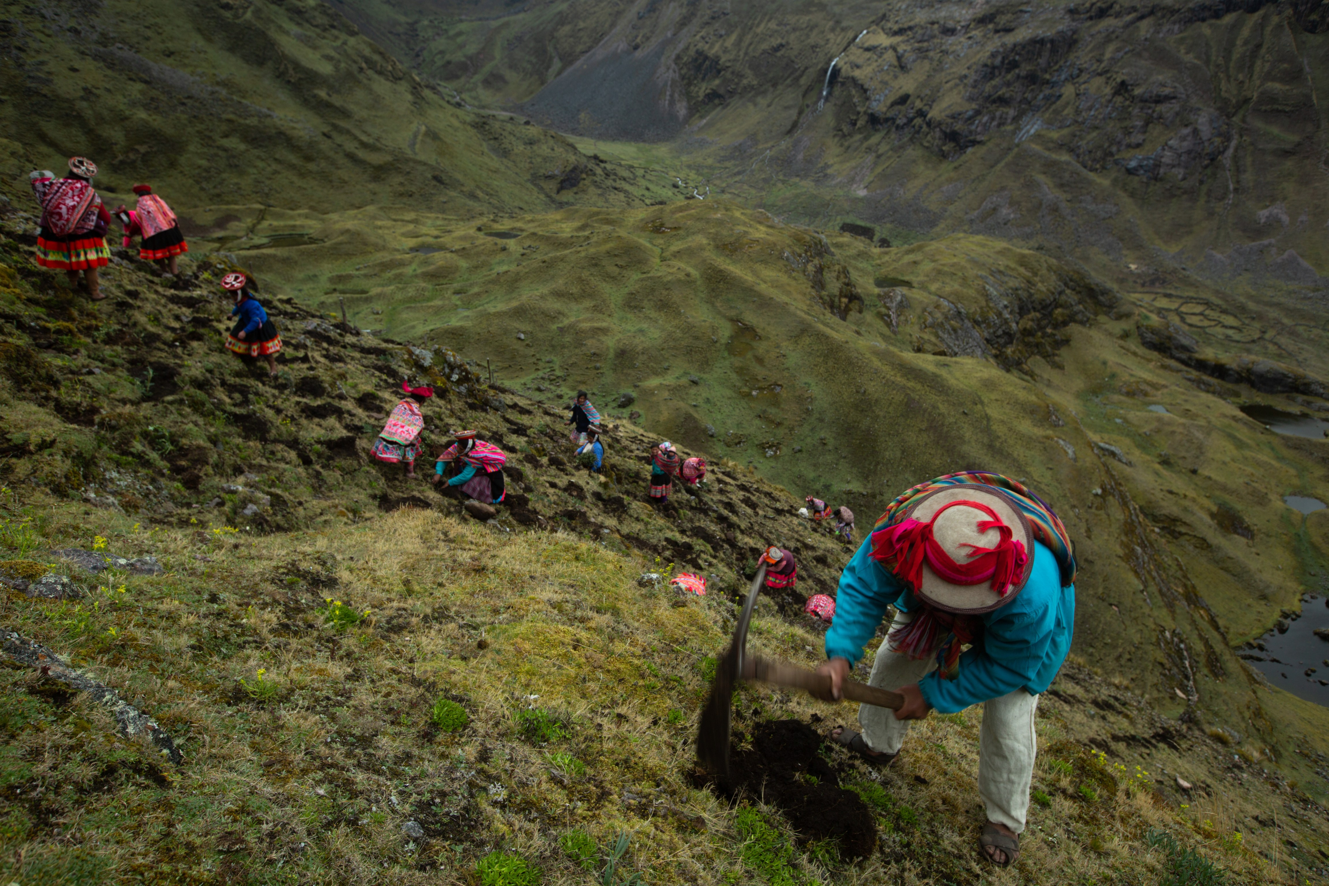 Quechua-speaking people planting trees in Andes Peru
