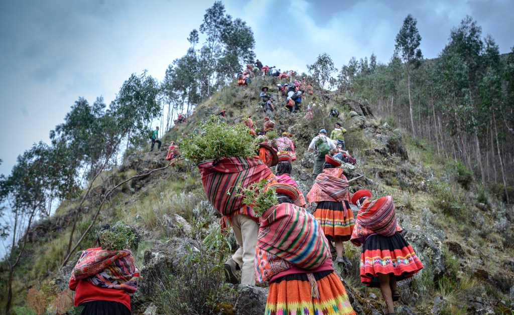 children and adults climbing mountain to plant trees peru