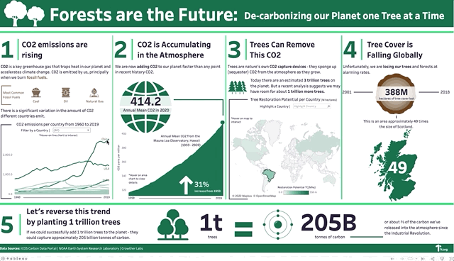 How planting 1 trillion trees can decarbonize our planet