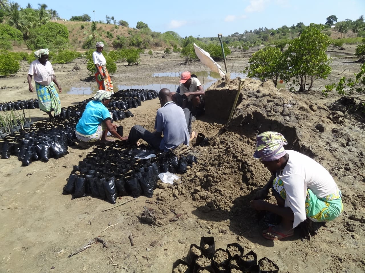 people digging and planting seeds in Kenya
