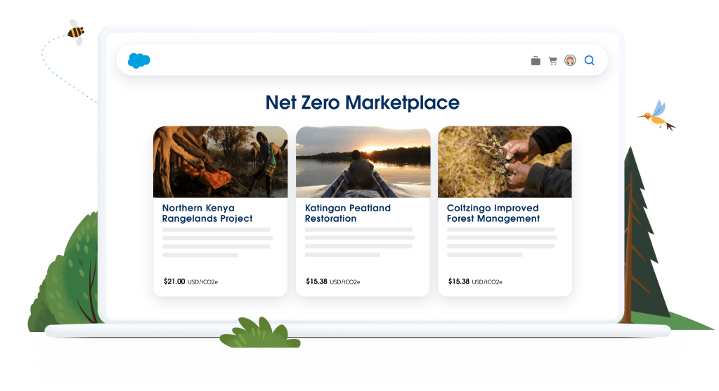 Net zero marketplace