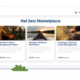Net Zero Marketplace
