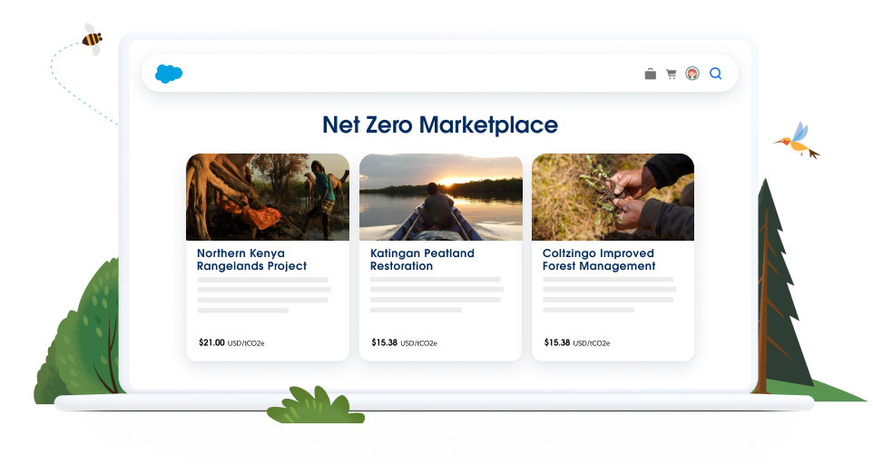 Net Zero Marketplace