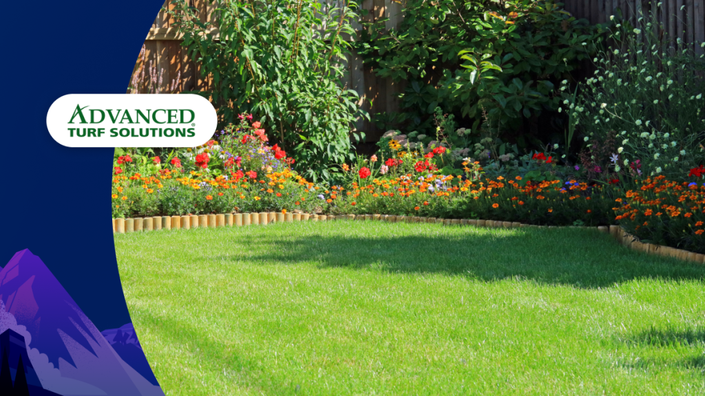 Backyard with green grass