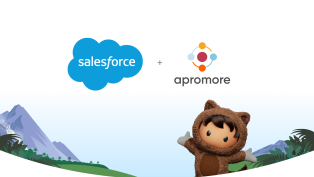 Salesforce and Apromore logos on a light blue to white gradient background.