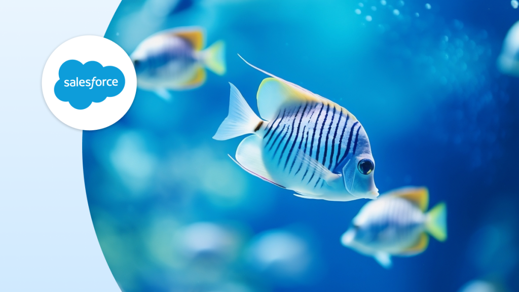 Tropical fish swimming in the ocean.