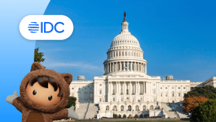 Exterior view of the United States capitol building.