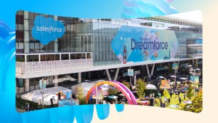 View of Dreamforce park from Dreamforce 2025.