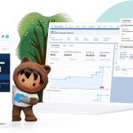 Wat is ERP? En is Salesforce een ERP-systeem?