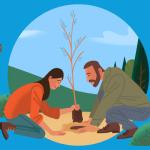 De biodiversiteit vergroten met een voedselbos: wij laten het gebeuren!