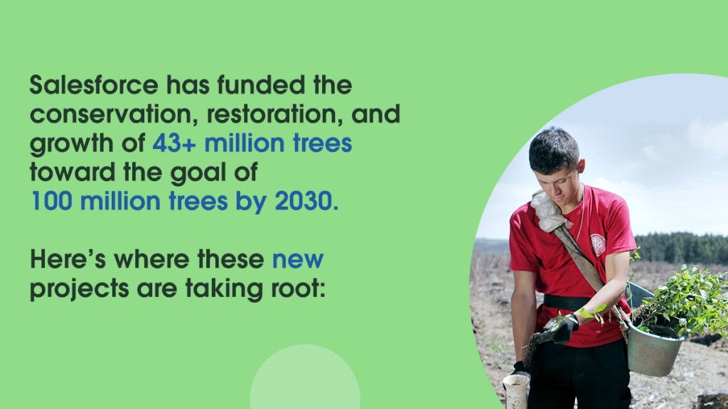 Salesforce has funded the growth of 43+ million trees