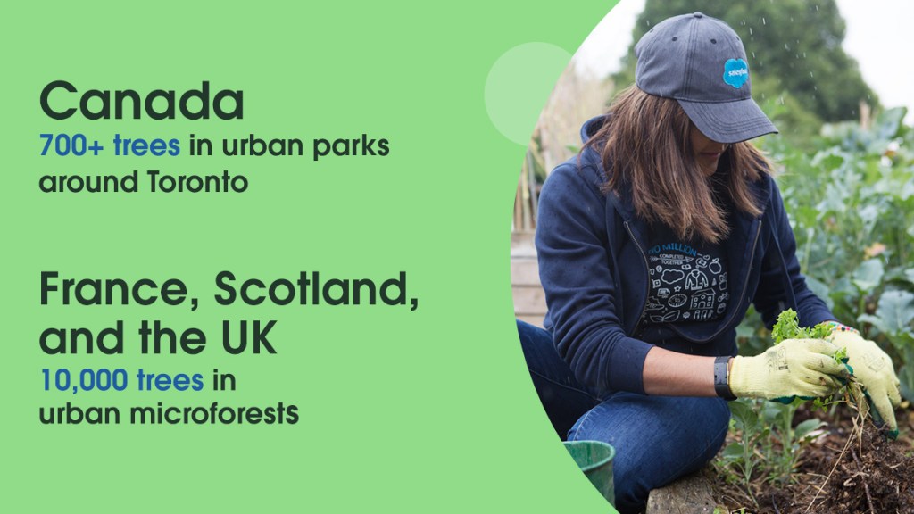 Supporting 700+ trees in Canada; 10k trees in France, Scotland, & the UK