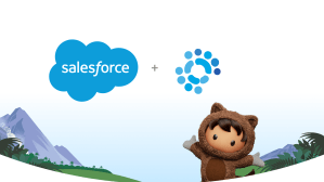 Image of the Salesforce and Waii company logos on a light blue gradient background